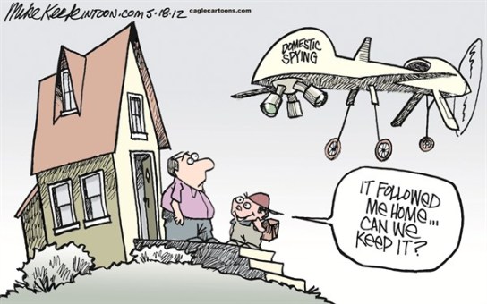 domestic-drone-cartoon