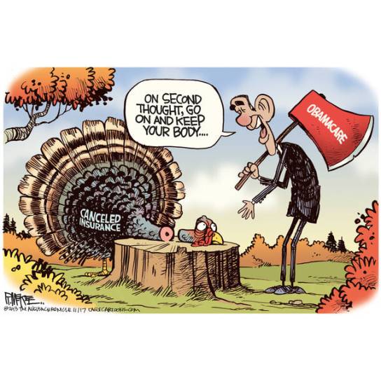 obamacare-turkey