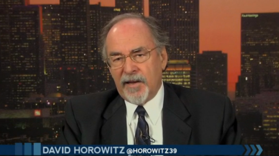 David-Horowitz