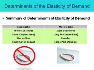 determinants of elasticity